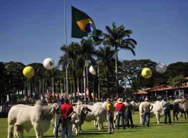 Principal feira pecuária do Brasil é cancelada por conta da pandemia