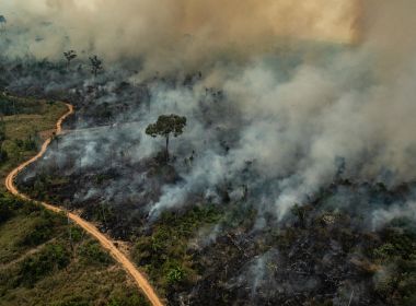 Mesmo com Exército, Amazônia tem segundo pior agosto de queimadas dos últimos dez anos