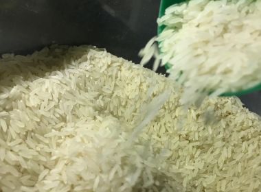 Isenção para importação do arroz não resolve problema no curto prazo