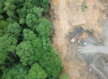 Degradação florestal na Amazônia ultrapassa desmatamento, diz pesquisa
