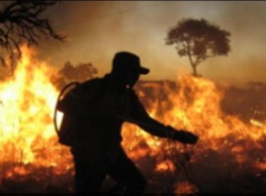 Apesar de incêndios, governo corta orçamento do Ibama e ICMBio em 2021