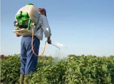 Anvisa avalia permitir uso de estoques de agrotóxico banido e associado a mal de Parkinson