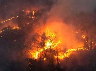 Pantanal tem pior outubro de queimadas da história e fogo cresce 121% na Amazônia