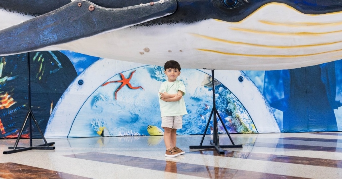 Exposição imersiva “Oceano Vivo” estreia em Salvador com experiência ...