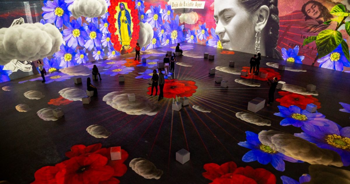 Inédita en Brasil, inaugura en Salvador exposición inmersiva de Frida Kahlo – Noticias – BN Hall