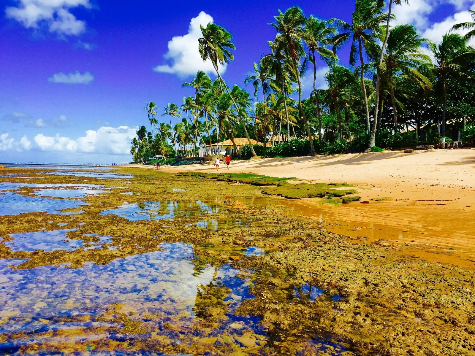 Destinos baianos são destaque em ranking nacional de hospitalidade