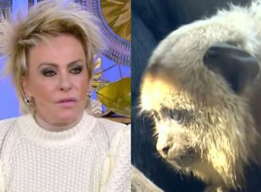 Ana Maria Braga demite responsável por exibir VT de macaco em vídeo sobre racismo