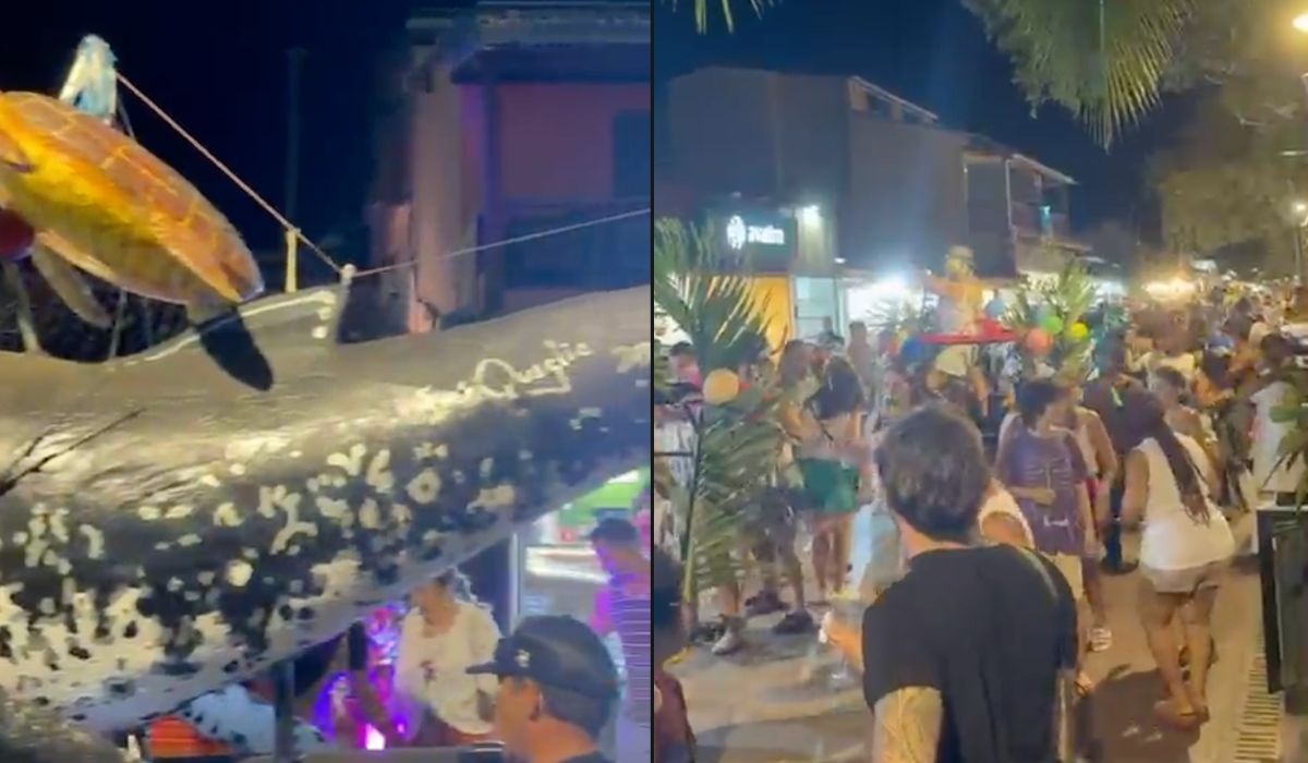 VÍDEO: Banda Voou agita pré-carnaval 2026 na Praia do Forte neste sábado