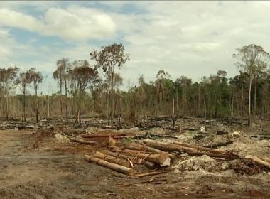 AGU conclui 29 ações públicas contra desmatadores da Amazônia e cobra R$ 1,3 bi