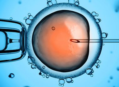 Justiça autoriza descarte de embriões produzidos através de fertilização in vitro após divórcio