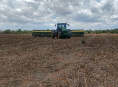 Faroeste: STF nega pedido da Bom Jesus Agropecuária para anular decisão do CNJ