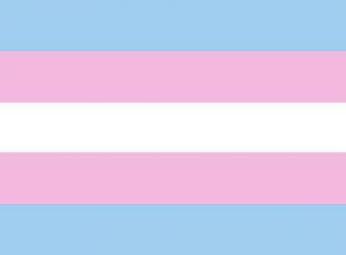Universidade baiana é a primeira do país a oferecer cotas para transexual e travestis