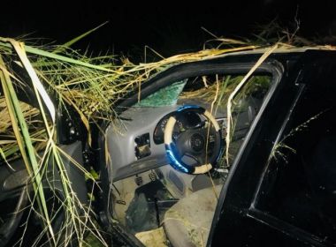 Cavalos soltos na pista causam dois acidentes em estradas nesta semana