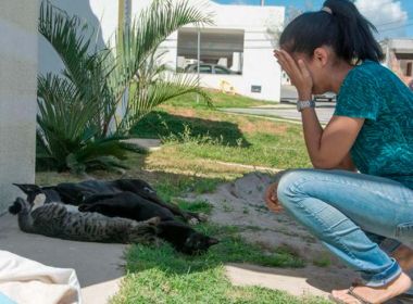 Feira: Advogada relata suspeita de envenenamento em mortes de animais 