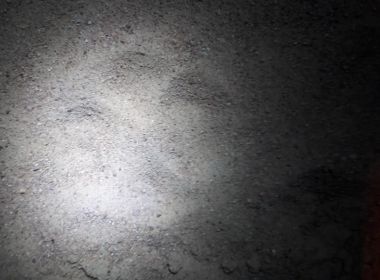 Guanambi: Pegadas de onça são vistas por moradores 
