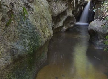 Porto Seguro: Parque Nacional do Pau Brasil terÃ¡ concessÃ£o estimular o turismo ecolÃ³gico