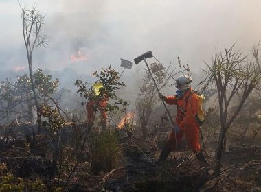 Inpe indica 706 focos de incêndio na Bahia em 48h; Sudoeste e Oeste são mais afetados