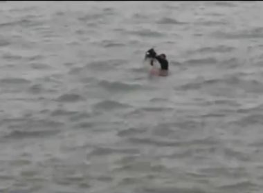 Ilhéus: PM usa prancha de surf para resgatar tartaruga marinha presa em rede de pesca