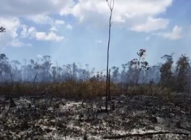 Porto Seguro: Fogo no Parque do Monte Pascoal chega a sexto dia consecutivo