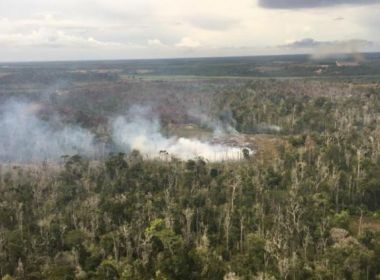 Casos de incÃªndios em vegetaÃ§Ã£o dobram nos dois primeiros meses do ano na Bahia