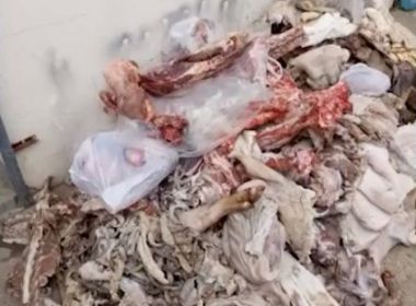 Belo Campo: Cerca de duas toneladas de carne imprÃ³pria para consumo sÃ£o apreendidas