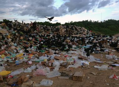 Bahia tem pelo menos 192 municípios com lixões ativos