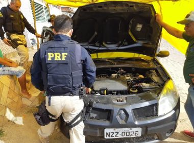 Operação prende 11 e apreende quase 300 animais silvestres na Bahia