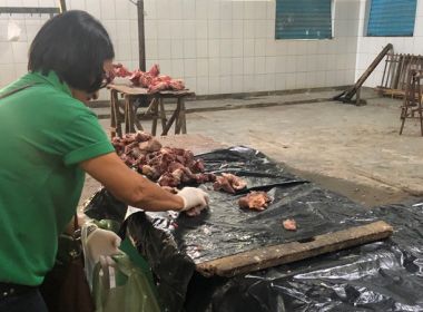 Ação apreende mais de 600 kg de carne clandestina em Jacobina