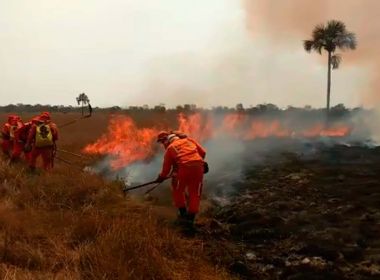 Bahia registra mais de 31 mil focos de incêndio no ano; Oeste é região com mais casos