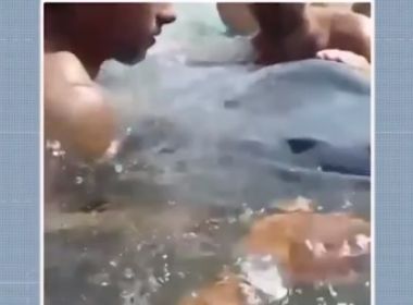 MaraÃº: Baleia Jubarte morre em praia; Bahia tem 30% de encalhes do paÃ­s em 2019