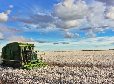 Dois municípios baianos estão no topo da produção agrícola nacional 