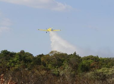 Barreiras: IncÃªndio Ã© controlado apÃ³s mais de 5 dias de combate; Oeste lidera queimadas