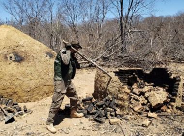 Fornos utilizados em produção ilegal de carvão vegetal são destruídos em operação na BA