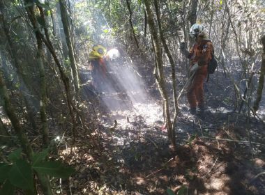 Incêndio entre Rio de Contas e Livramento é controlado após 13 dias
