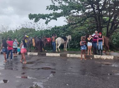 Lauro de Freitas: PM encerra aglomeração que participaria de corrida ilegal de cavalos