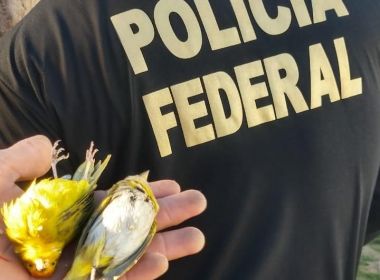 Operação da PF cumpre mandados no sudoeste da Bahia e em Minas Gerais