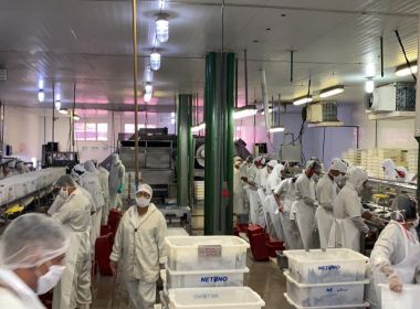 Empresa investirá R$ 1,2 milhão em beneficiamento de tilápia em Paulo Afonso