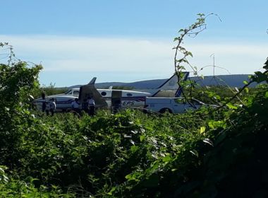 Ibotirama: Avião com vacina para Covid-19 bate em jumento em pista de pouso 