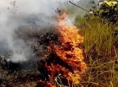 Una: Incêndio atinge área de vegetação e chamas chegam próximas à pista de pouso