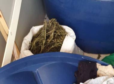 Seabra: Policiais presos aceitaram propina e usaram viatura para levar droga, diz MP-BA