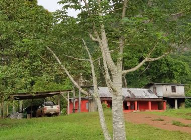 Arataca: Ministra do STF ordena suspensão de reintegração de posse em área indígena
