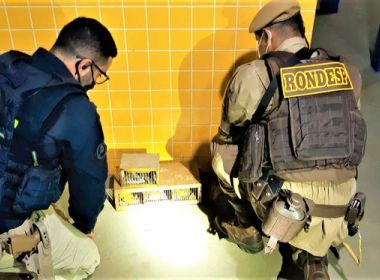 Barreiras: Ação flagra pássaros silvestres transportados de forma irregular na BR-242