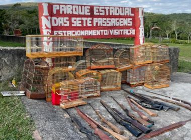  Operação contra crime ambiental em Miguel Calmon e Jacobina resgata mais de 70 pássaros 