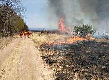 Ibotirama: Agentes seguem tentando controlar incêndio na zona rural; fogo começou na terça  