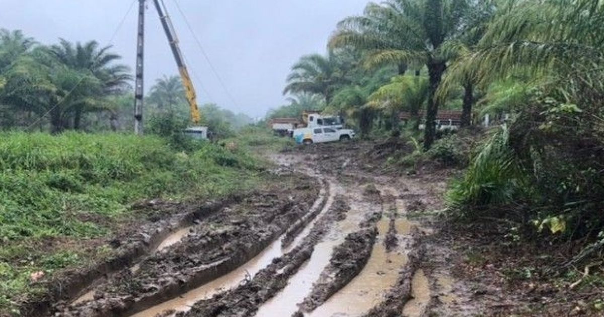 Bahia Notícias / Municípios / Notícia / Cairu: Procon notifica Coelba para investigar interrupção de fornecimento de energia - Vimarsana News