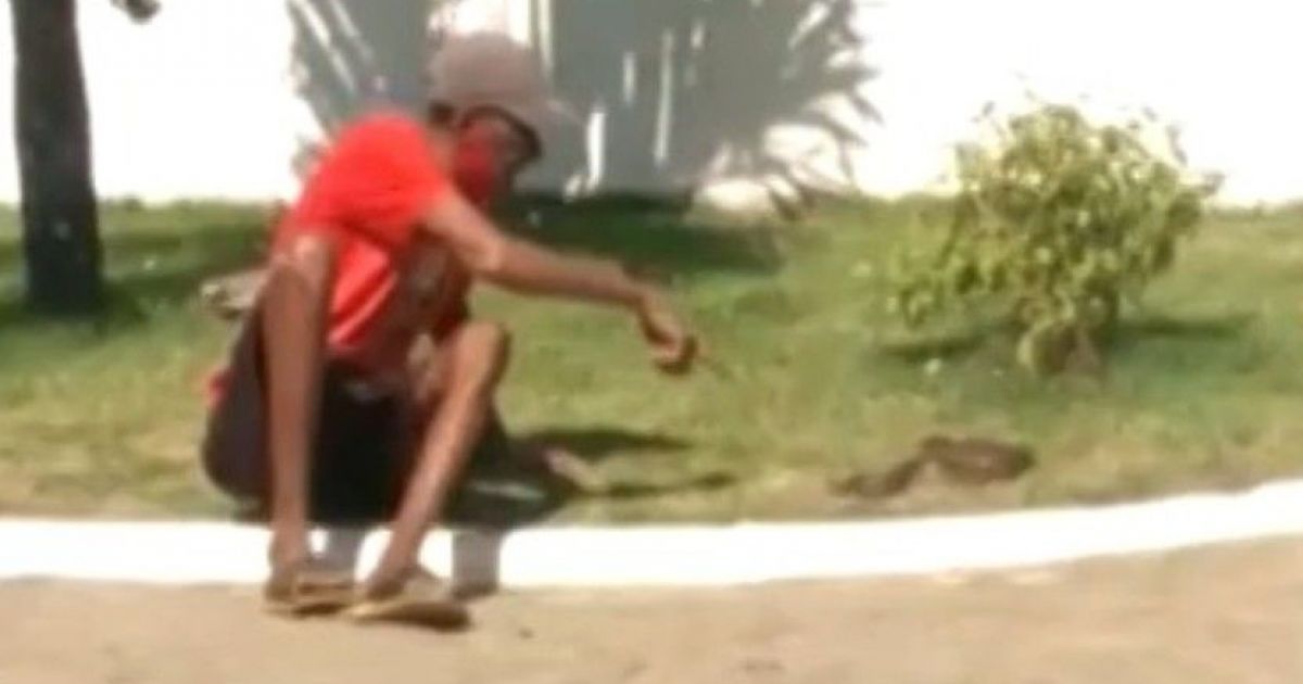 Bahia Notícias / Municípios / Notícia / Recôncavo: Após tentar beijar cobra, homem é picado e leva animal para UPA - Vimarsana News