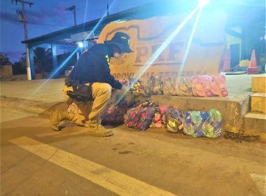 Mais de 300 pares de calçados falsificados de marcas conhecidas são apreendidos em Seabra