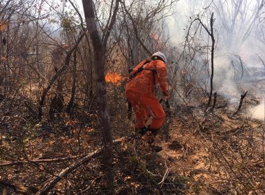 Incêndio florestal é extinto em Pilão Arcado; combate segue em Campo Alegre de Lourdes