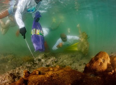 Maraú: Mergulhadores do projeto Paramana Nature coletarão resíduos do mar