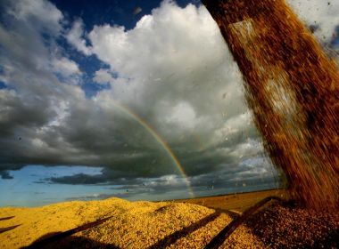 Levantamento aponta que agricultura baiana gerou R$ 27,5 bilhões em 2020 